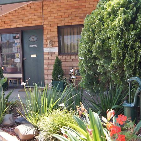 Ningana Motel Mudgee Ngoại thất bức ảnh