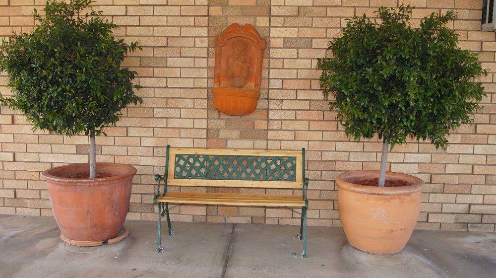 Ningana Motel Mudgee Ngoại thất bức ảnh