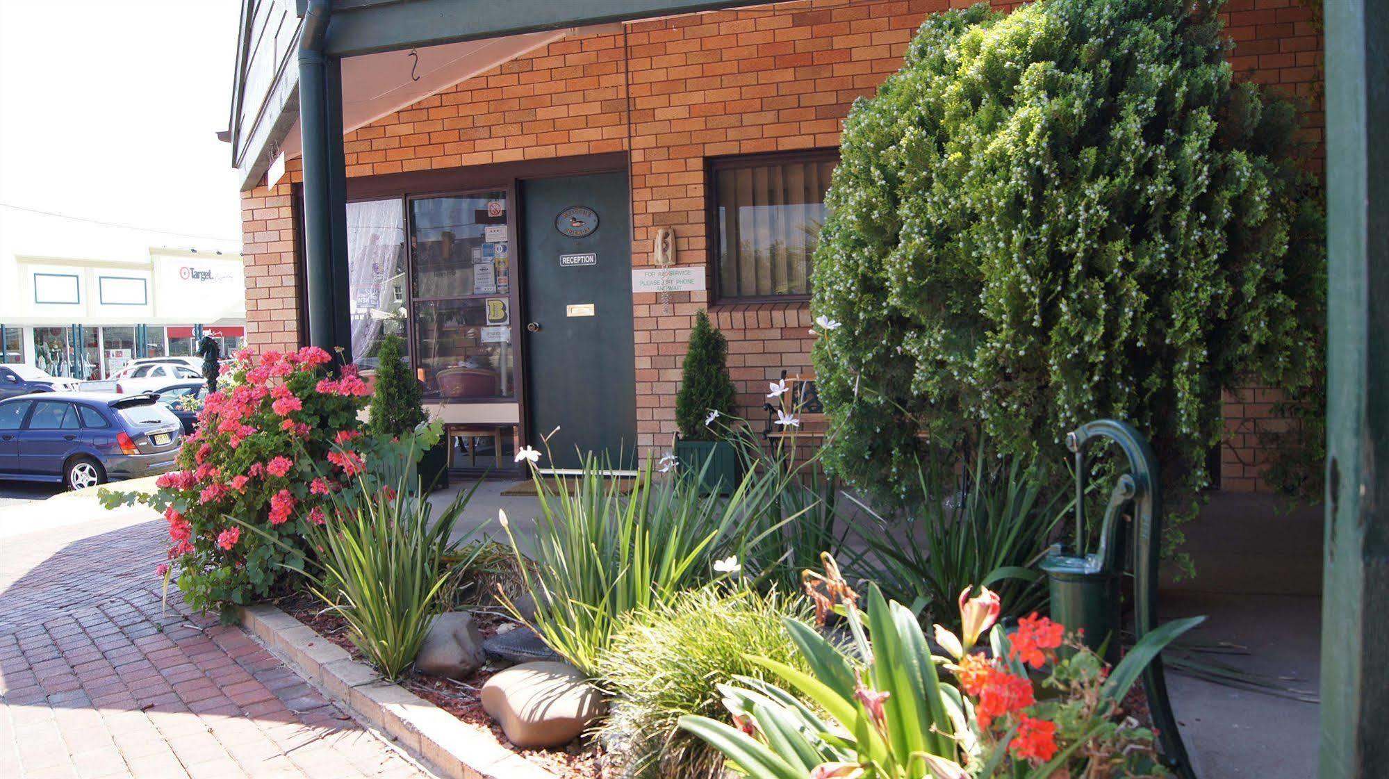 Ningana Motel Mudgee Ngoại thất bức ảnh